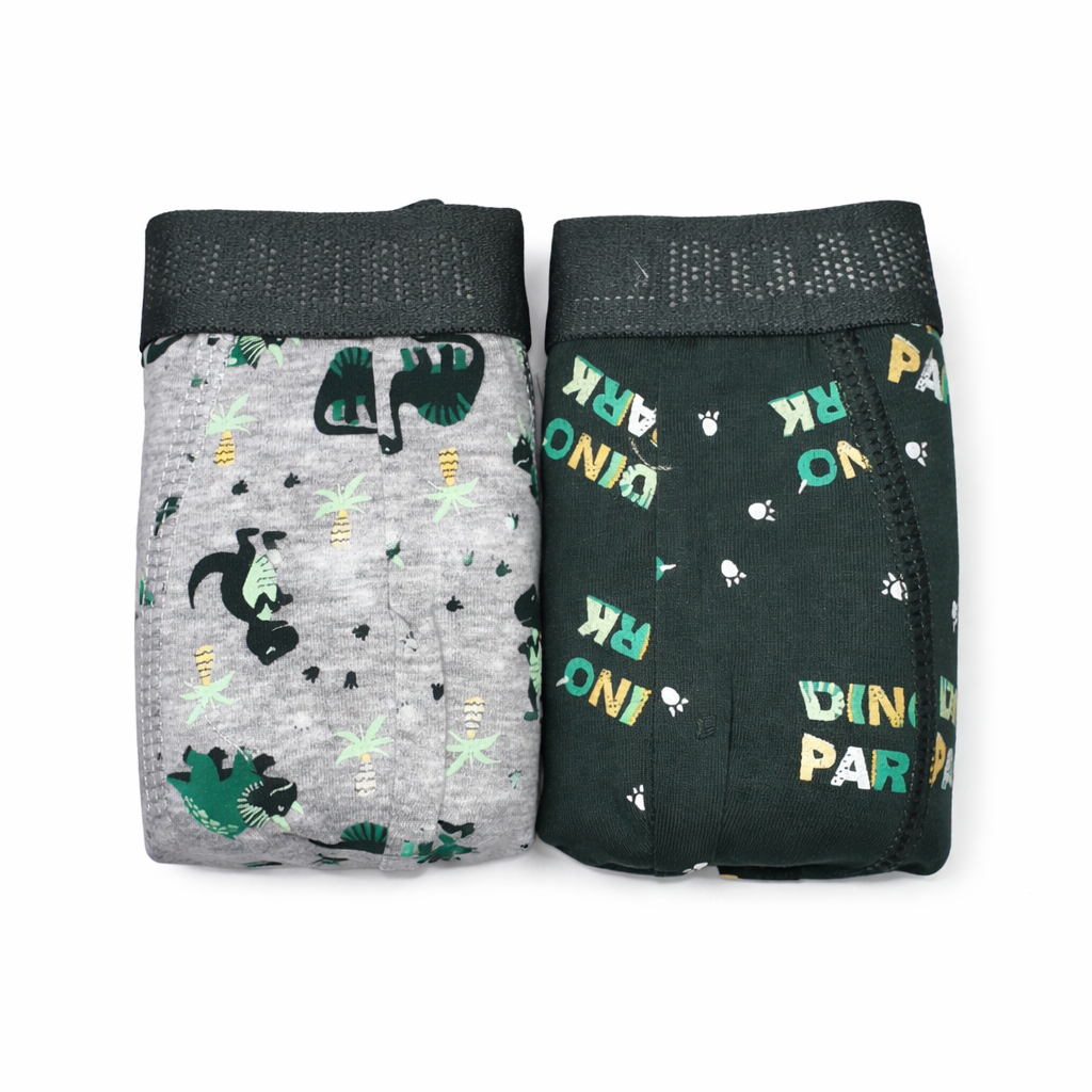 Pack de 2 de dinosaurios